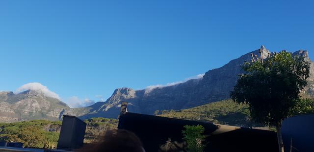 DÍA 4: CAPE TOWN - Sudáfrica y Seychelles 2018 - Una Honeymoon llena de vida (20)