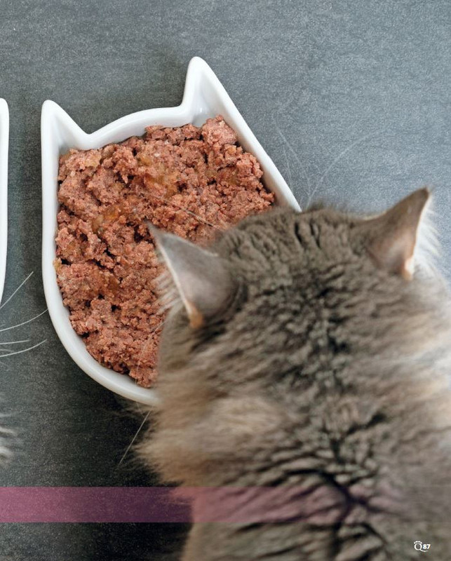 QuattroZampe Feb 2023 (8)