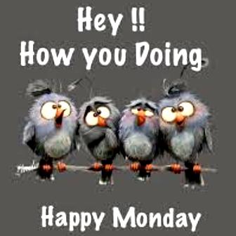 Monday-Birds