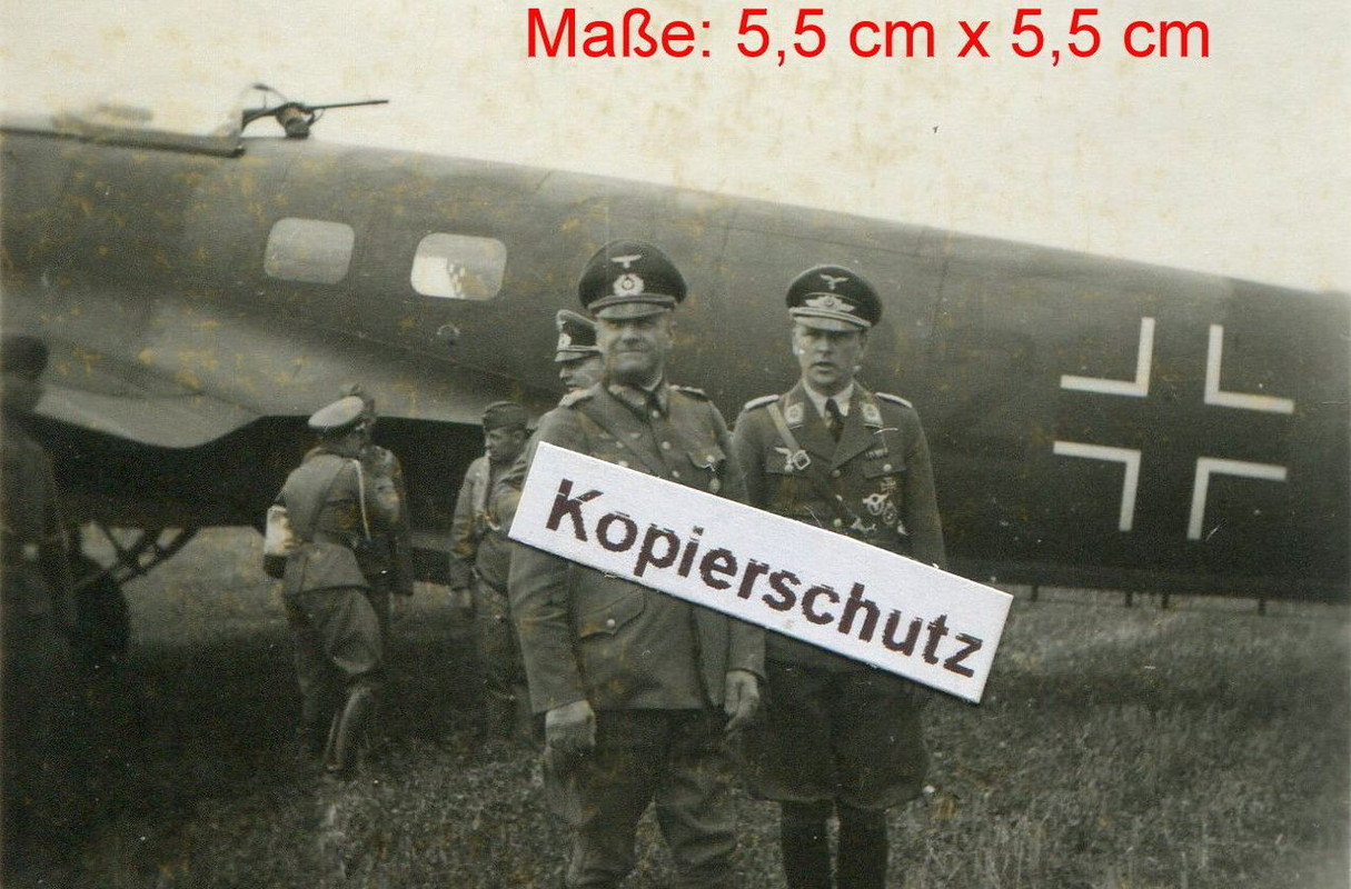 in Oschen Osno Polen (5)