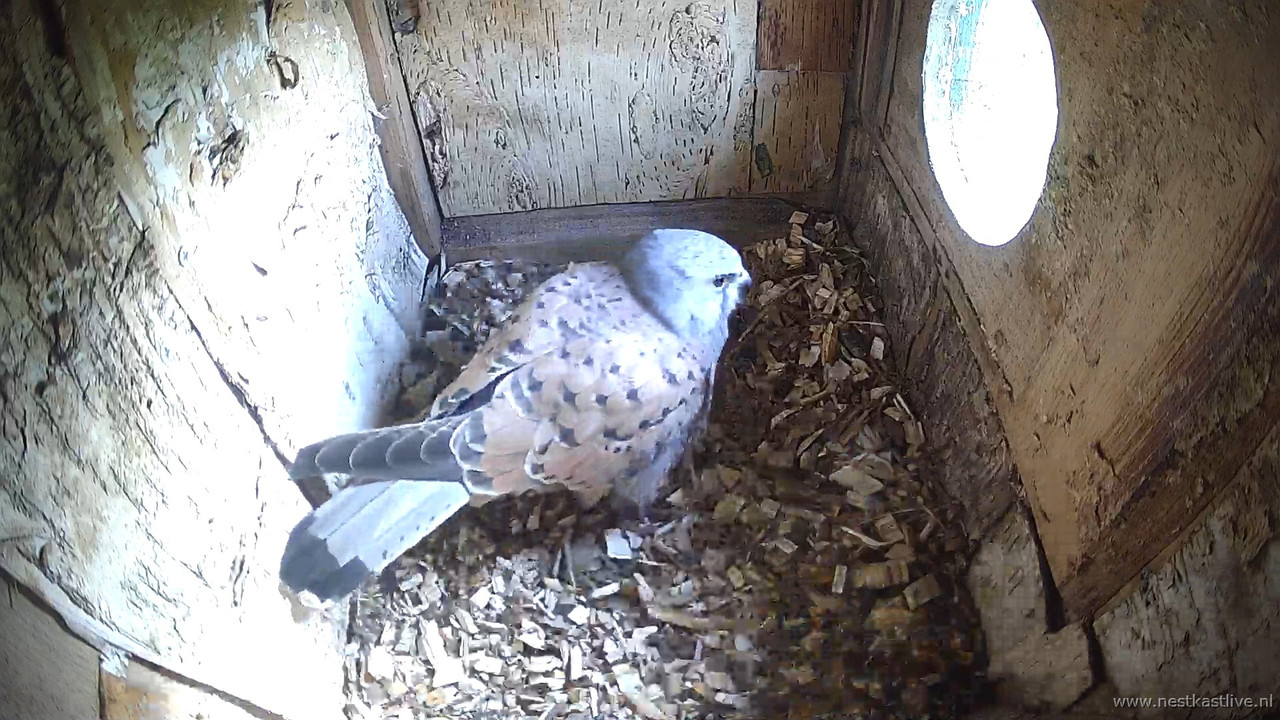 snapshot 2026 03 28T085906 535