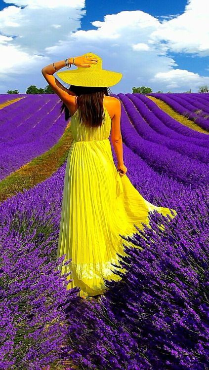 yellowdresslavender.jpg