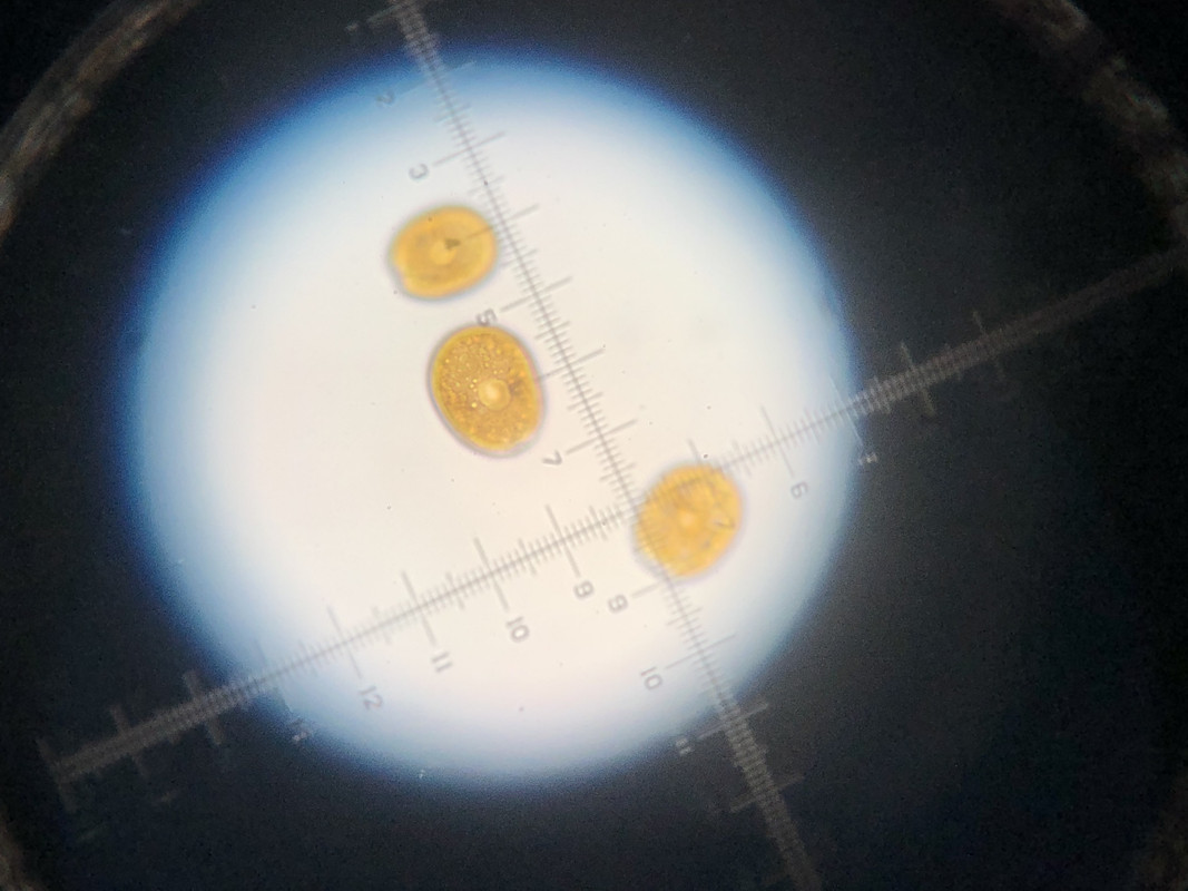 B6AF3E91-2423-420D-9D8F-EC6FE98C9F0C