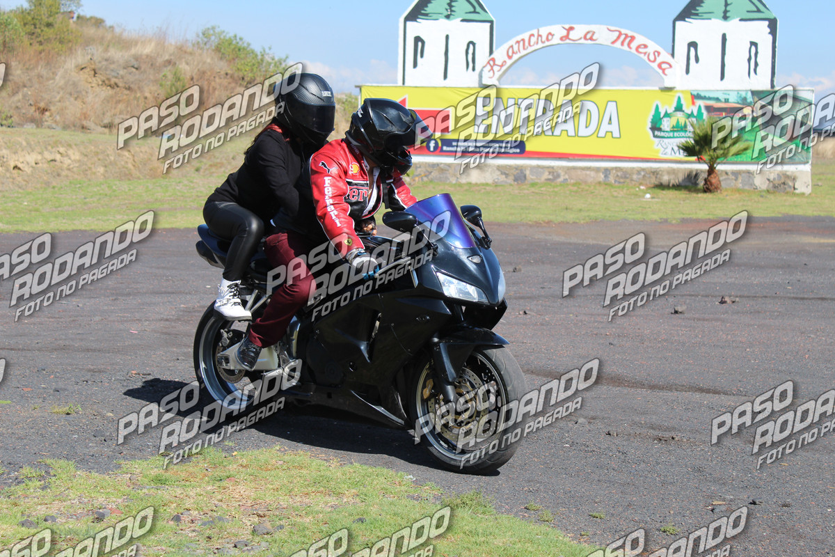 IMG 0463 wm 2147753 9 watermarked — Postimages