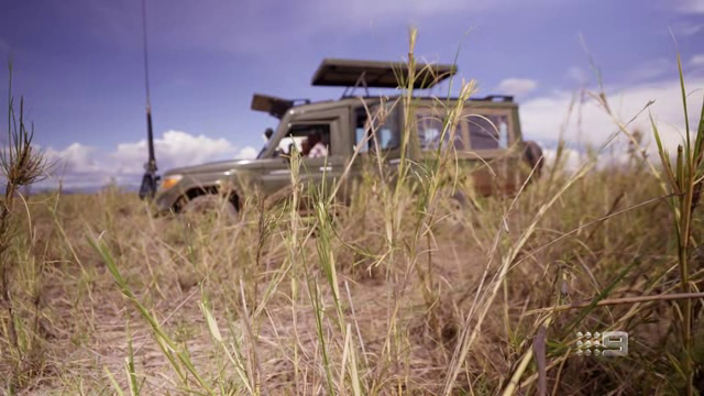 [Image: gku0bj1u5tb9.png]