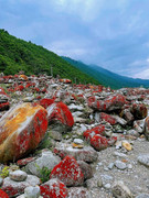 [图: 00c31dd8bc55a45efb247de0742bf2f1.jpg]