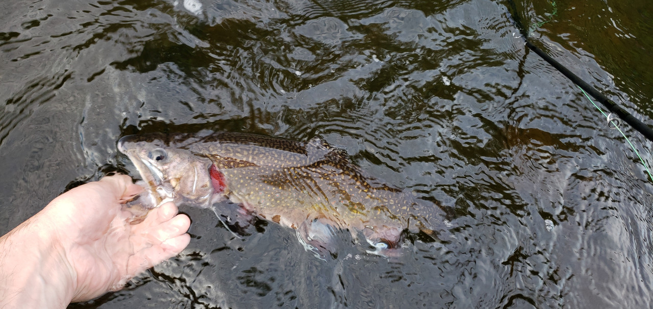 20190617_184604