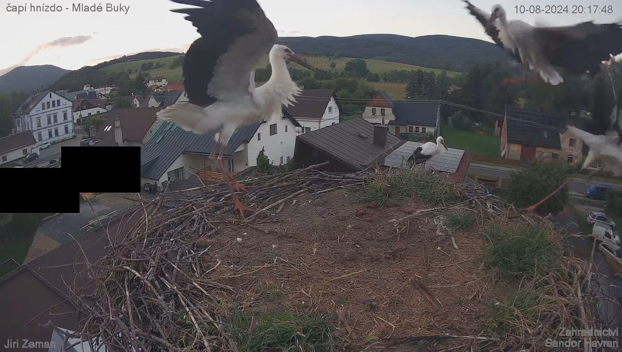 Tiešraides kamera — Mladé Buky — stārķa ligzda 17-54-9 screenshot