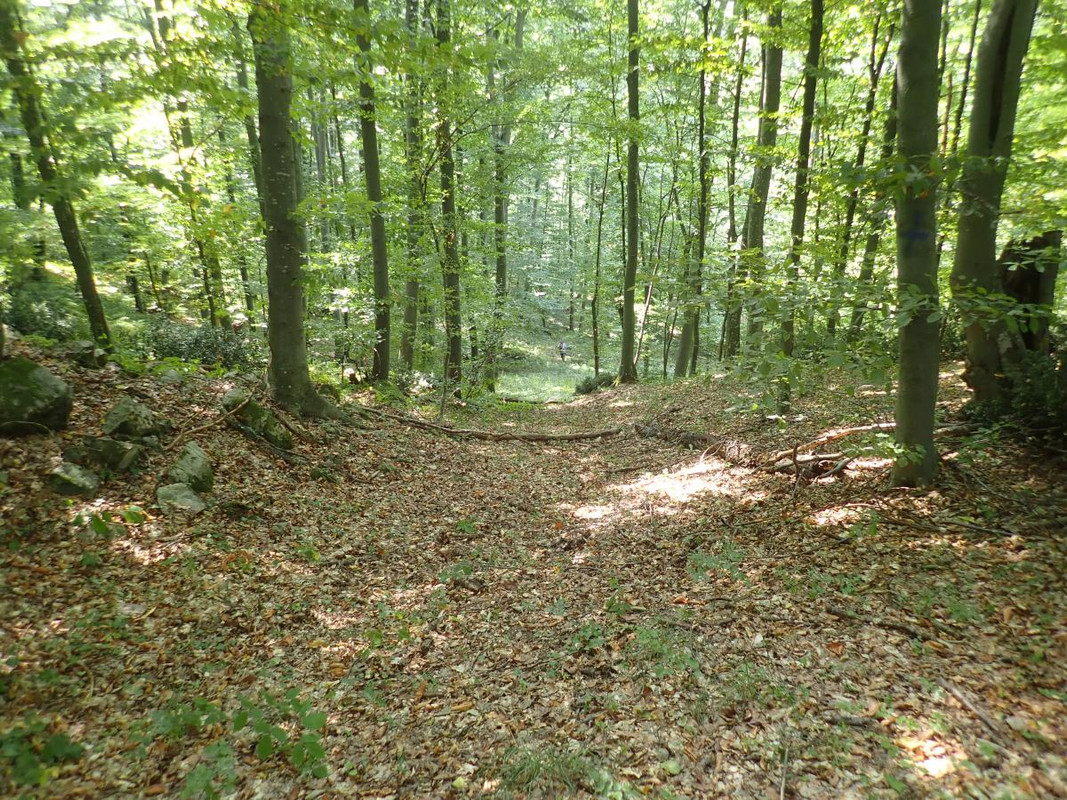 RUTIZAM SRBIJA - DragoševacJerinin grad (jagodinski) (9)