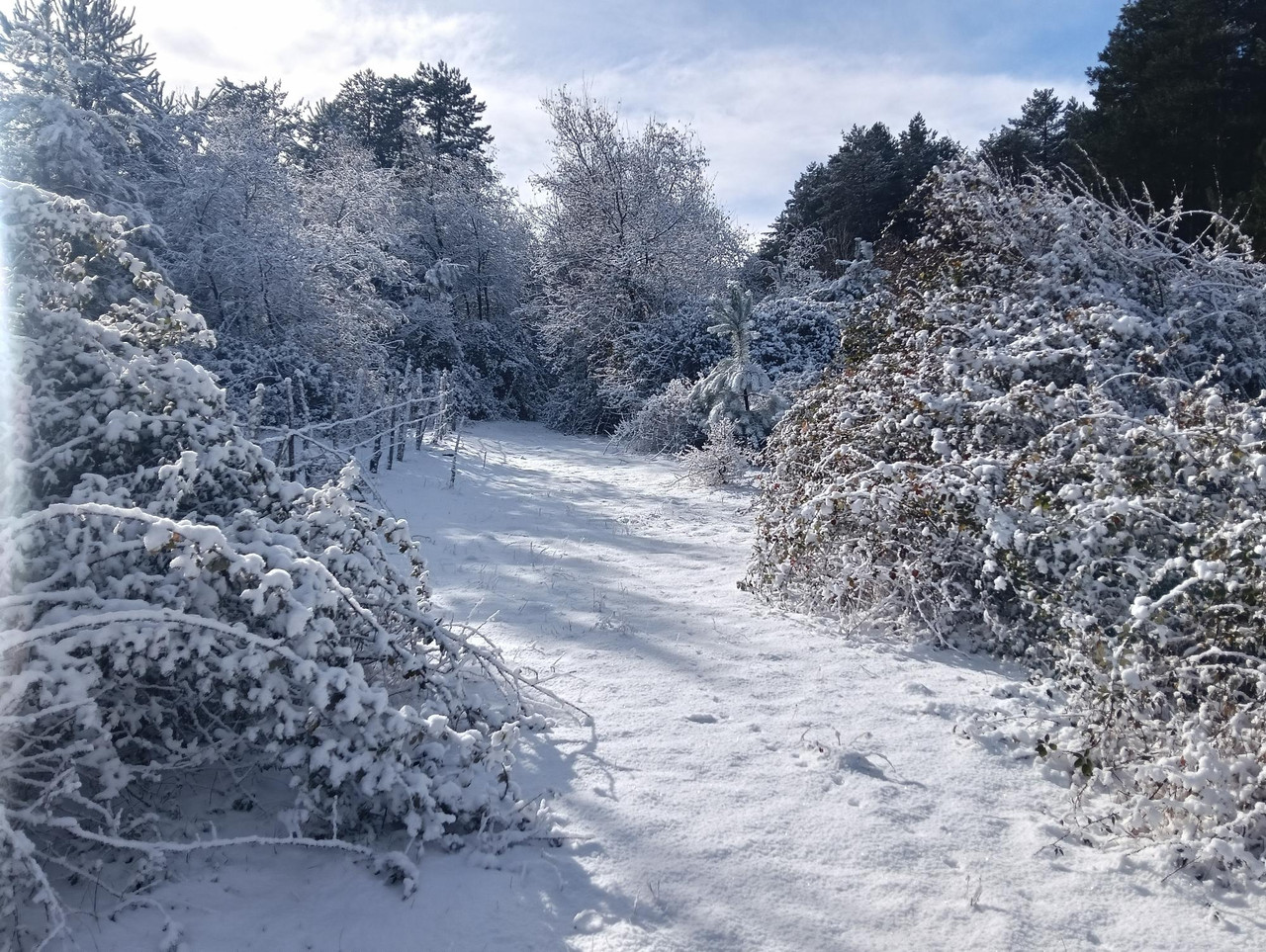 4b7dc6bdb096431db69b9dd36a78b3c5 larg