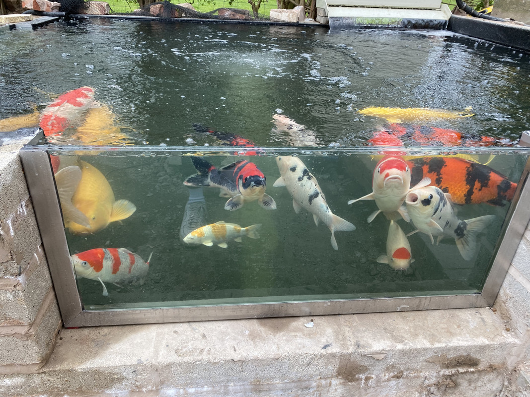 384161C6-3B1B-4CFD-8FB5-F0E63470A09A