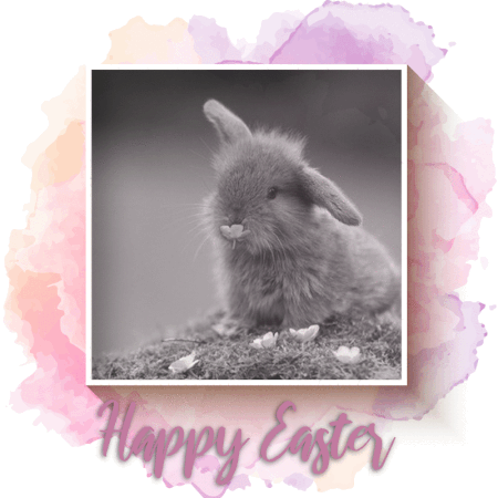 28182631lhb_Fl4m_G_450