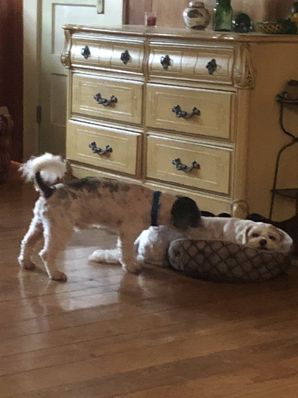 E3D20842-FDED-4208-B961-6D495D84ECD8