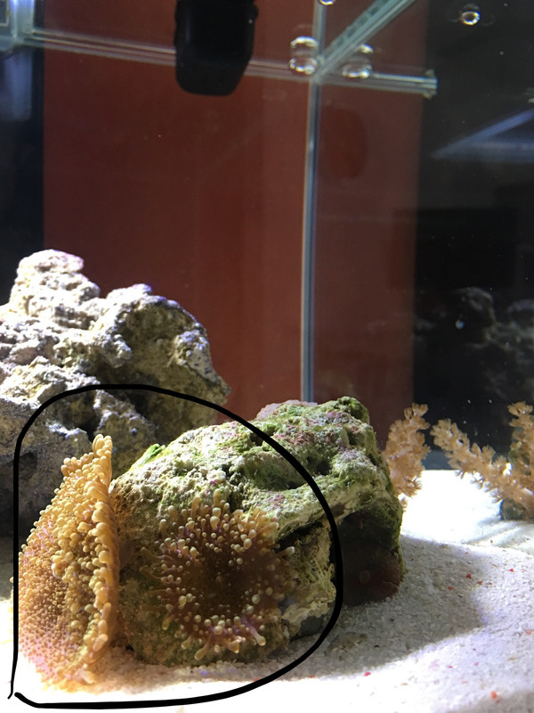 89C05F92-FA3D-4394-85FA-4AF834D524F2