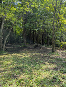 [Image: PXL-20250809-175427080-MP.jpg]