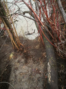 IMG-20200501-210258