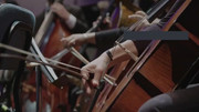 Jim-Pro-Free-Ringtones-Download-055