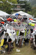 IMG-6174