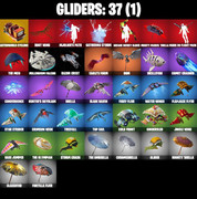 gliders-comp