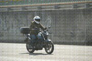 DSC-0212
