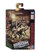 TF-Kingdom-Official-Pics-014