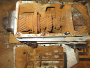 IMG-6408.jpg