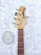 Music Man Stingray 5 HH ou H ? - Página 5 3