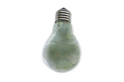 bulb Png