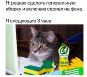 a023583f1eea677f9a2962567b137cb6.jpg