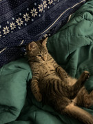 A6540F71-DB3E-4854-B4FB-67C7FD9E76F0