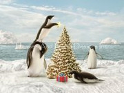 Alan Giana Alana-Giana-mini-merry-penguinsjpg-image-200x150