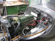 IMG-4916.jpg