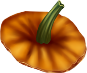 Halloweenpumpkinkitdncover