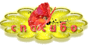541889edf09b1c9f21bcfa5dfac81f1d