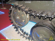 IMG-7288