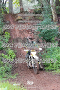 IMG-0481