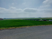 20220508-111254.jpg