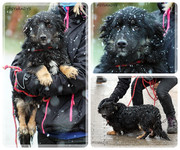 Be-Funky-collage-18.jpg&key=e7c7ad1eab9c