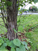 img-1781006224911