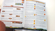 Odin-Dutch-rulebook-screenshot-(10)