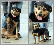 Be-Funky-collage-20.jpg&key=28797ac166cd