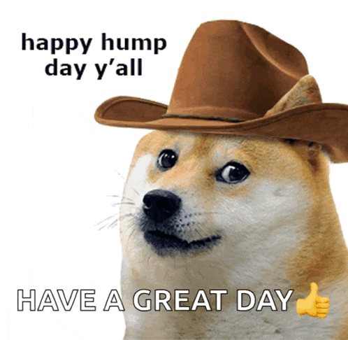 hump-doge.gif