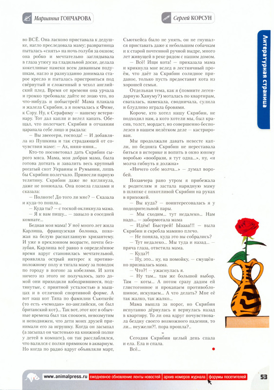 Moj-drug-koshka-2011-11-55