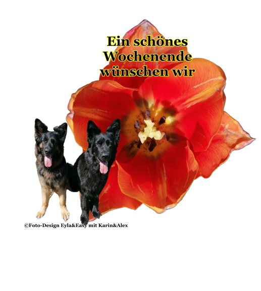 An den Beitrag angehängtes Bild: https://i.postimg.cc/RqrZYyBp/GB-Bild-21-05-2022.png