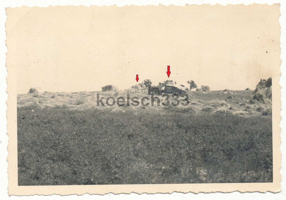 1944 Panzerspähwagen 4 Rad Panzer Sd.Kfz. Tarnun