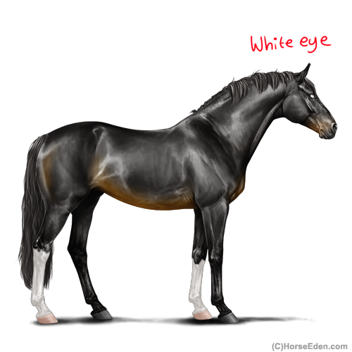 Untitled1173-20250723115256.png