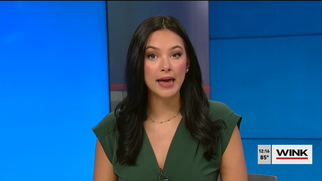 04.13 - 17.00.00 - The WINK Noon News  ᴺᵉʷ. Midday news update..ts_snapshot_22.27.560