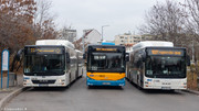 IMG-1816