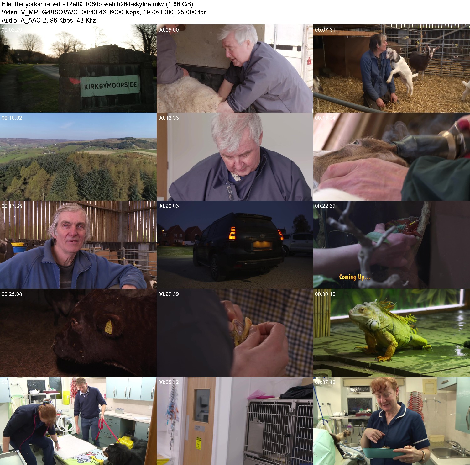 [Image: 6si5c6z1eiji.jpg]