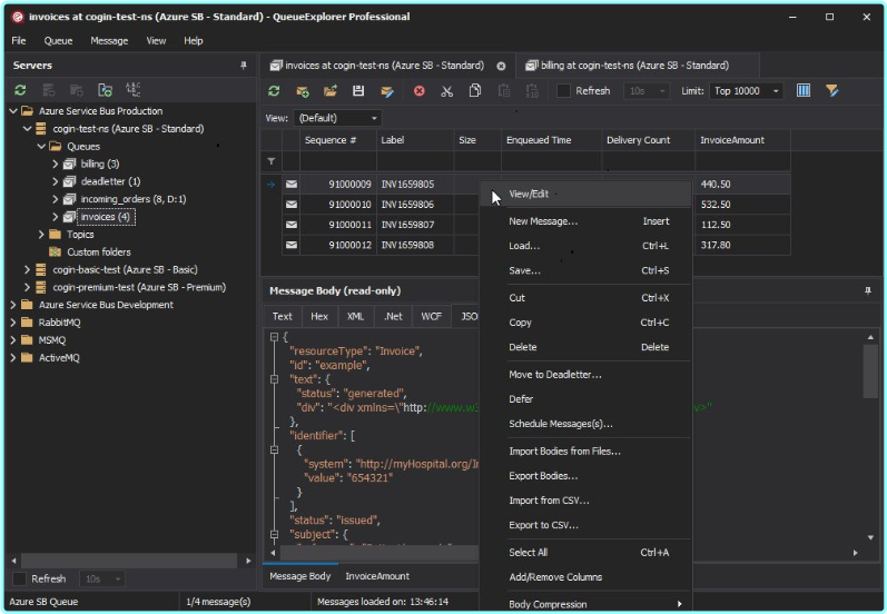 QueueExplorer Professional 5.0.60 – (35 MB)